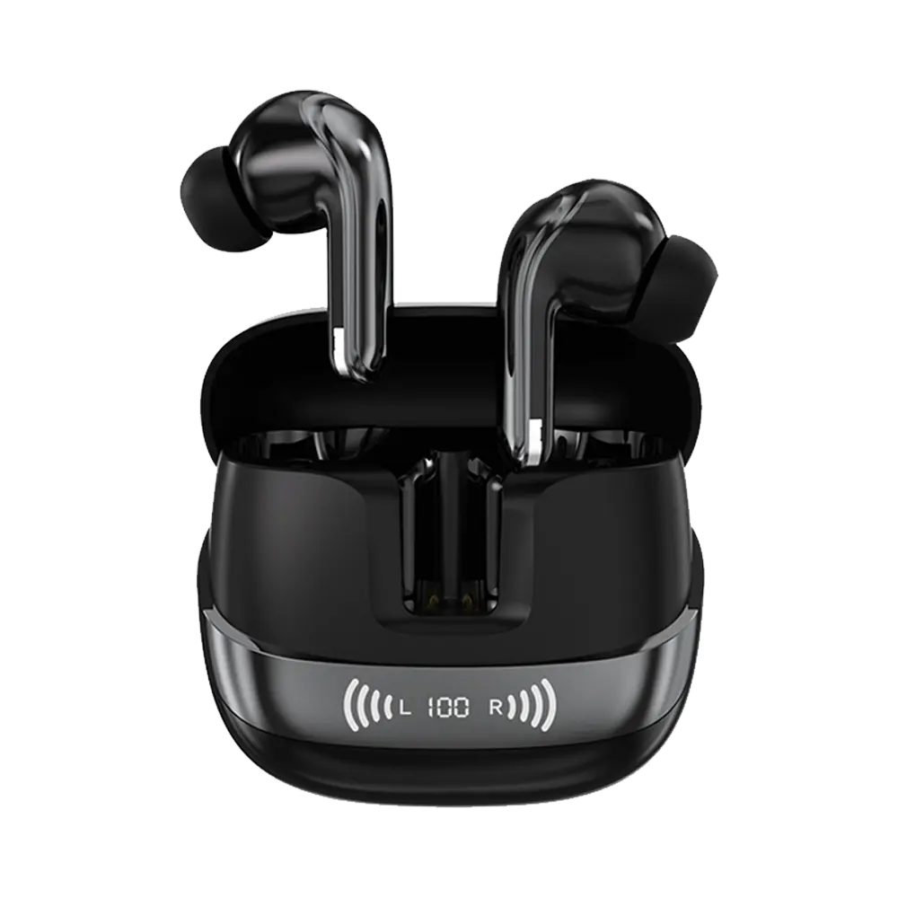 L-213 Earbuds
