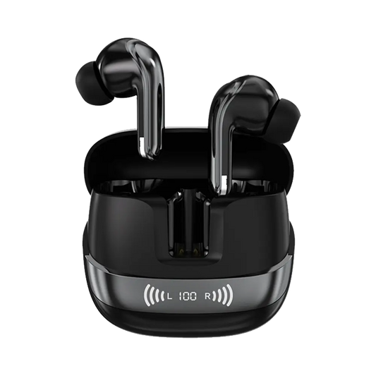 L-213 Earbuds