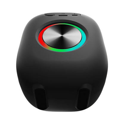 L-273 Ravok Portable Wireless Speaker