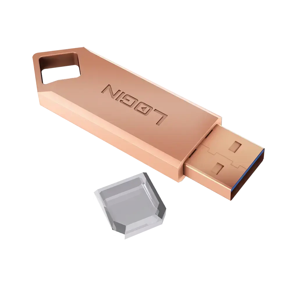 L-U100 USB Flash Drive 256GB