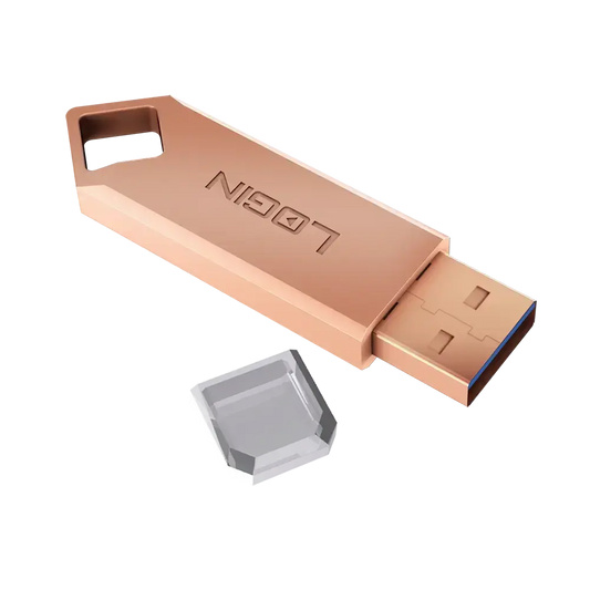 L-U100 USB Flash Drive 256GB