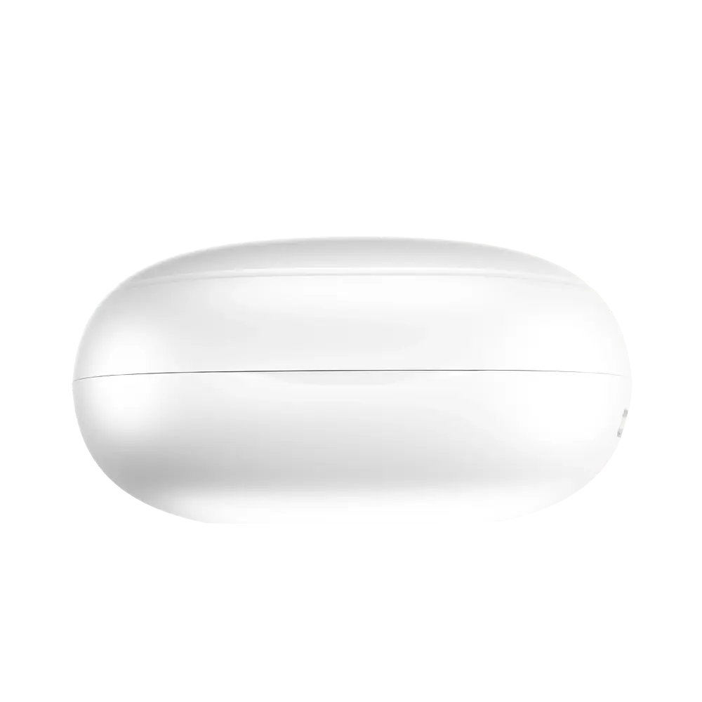 L-202 Earbuds