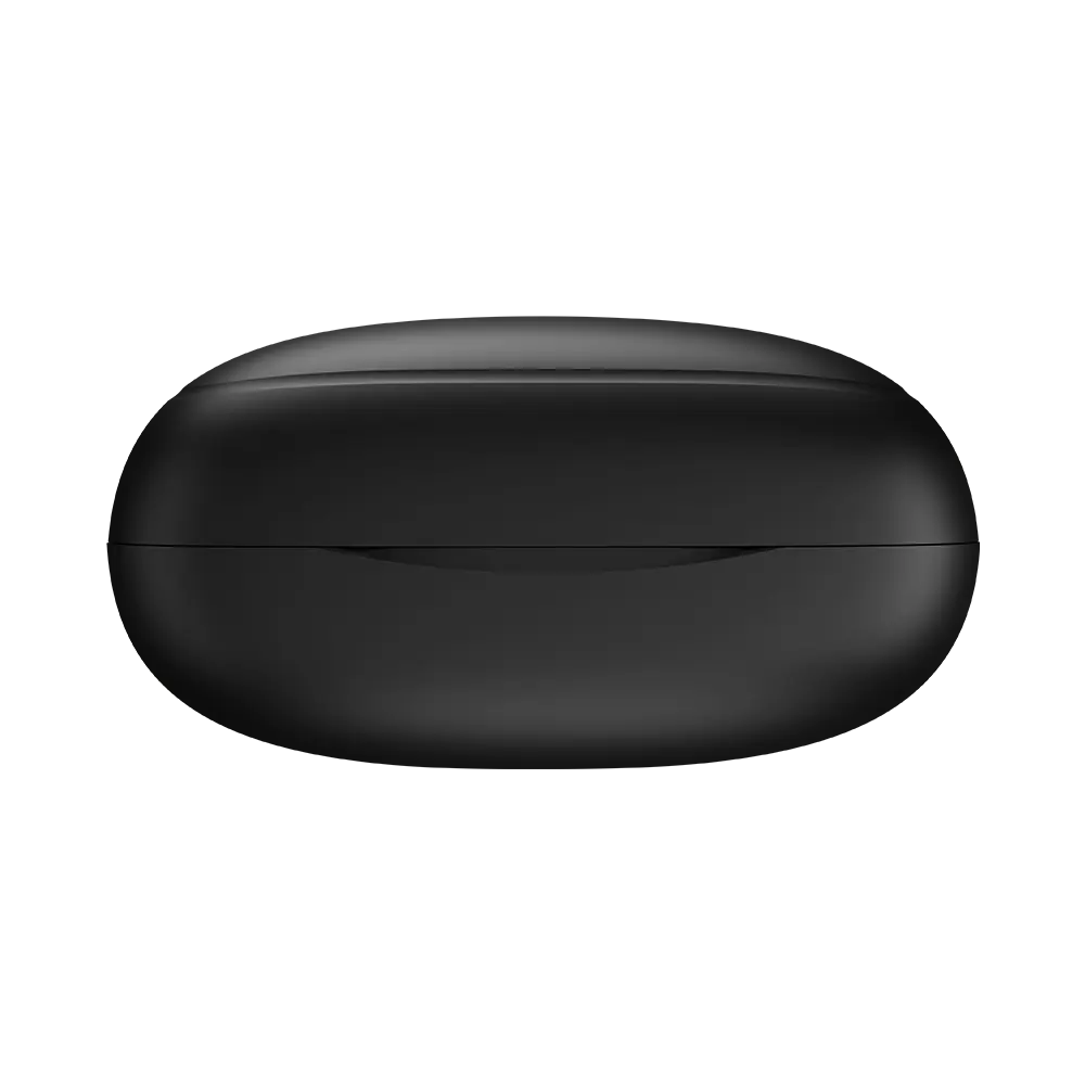 L-202 Earbuds